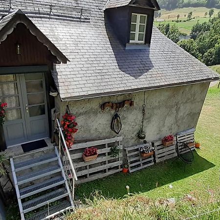 Appartement Habas Estaing Hautes Pyrenees Val D'Azun المظهر الخارجي الصورة