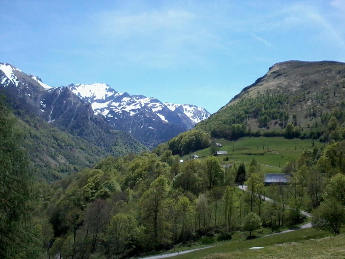 Appartement Habas Estaing Hautes Pyrenees Val D'Azun المظهر الخارجي الصورة