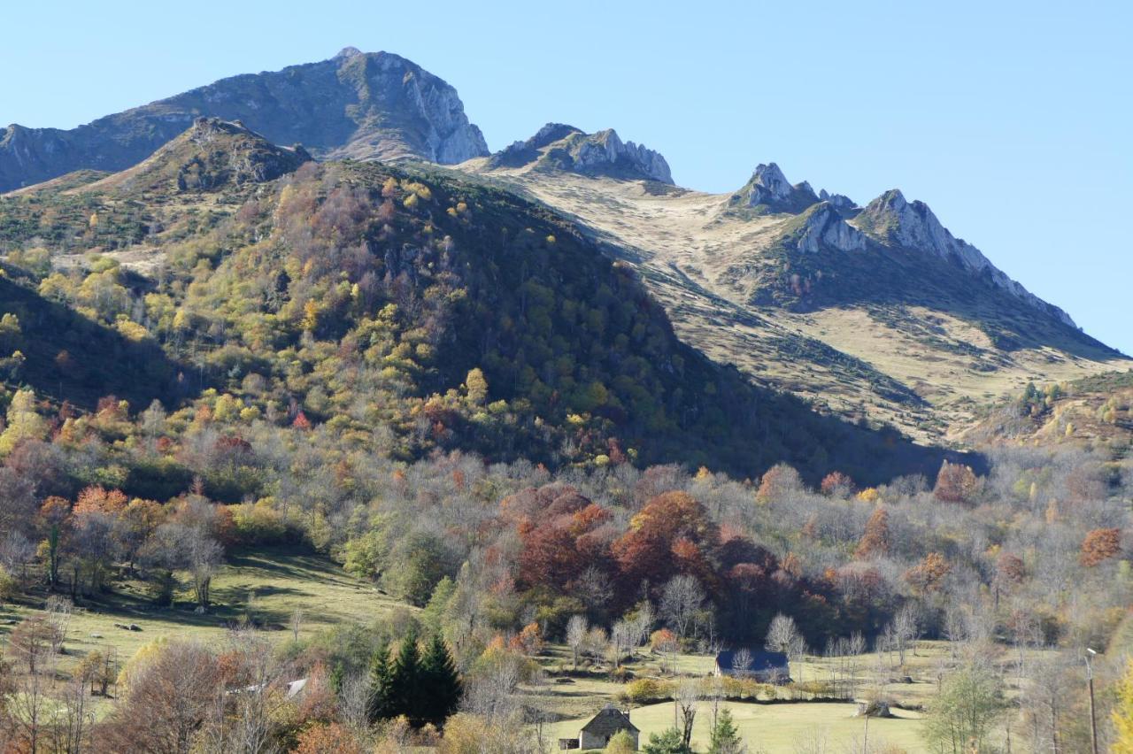 Appartement Habas Estaing Hautes Pyrenees Val D'Azun المظهر الخارجي الصورة