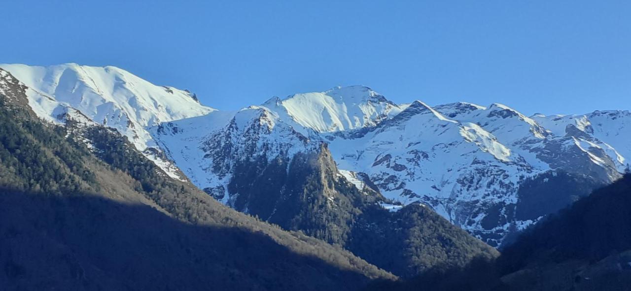 Appartement Habas Estaing Hautes Pyrenees Val D'Azun المظهر الخارجي الصورة