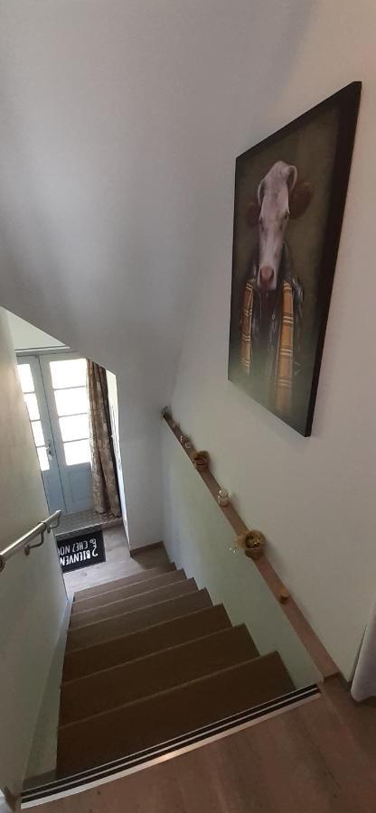 Appartement Habas Estaing Hautes Pyrenees Val D'Azun المظهر الخارجي الصورة