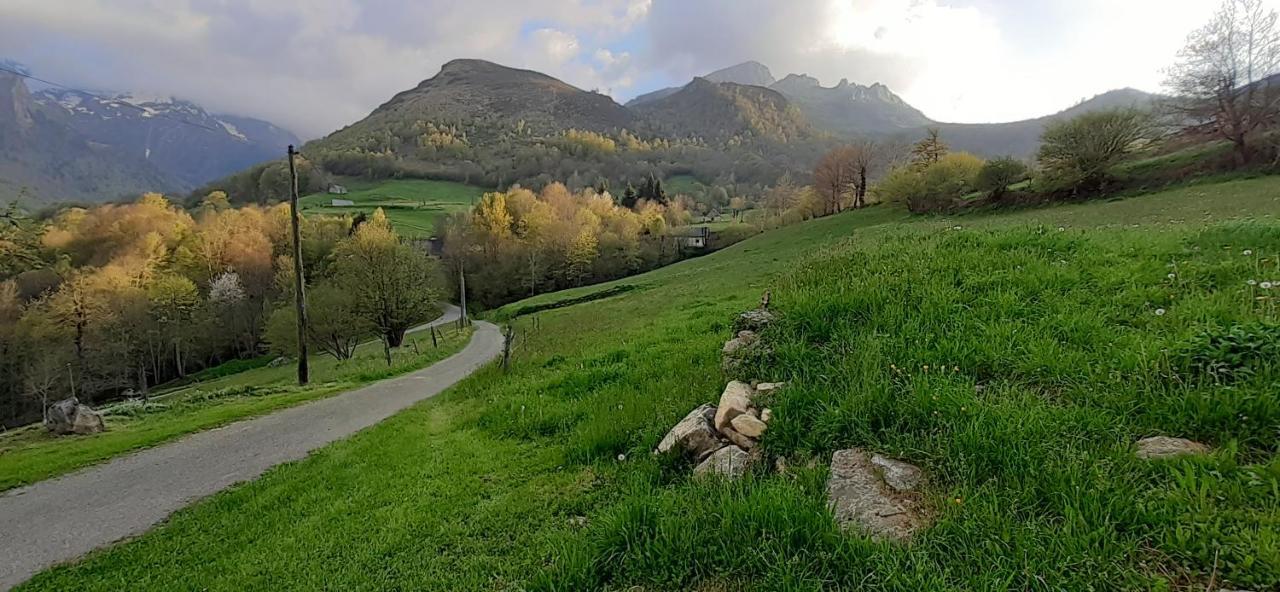 Appartement Habas Estaing Hautes Pyrenees Val D'Azun المظهر الخارجي الصورة